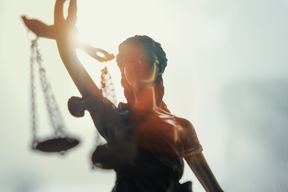 Litigation